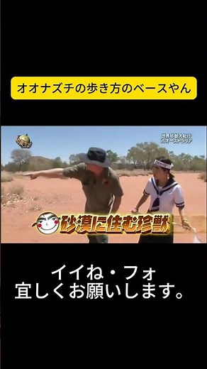 It's the bass of Odogaron's walking style #ItteQ #ItteQToTheEndsOfTheWorld #UchimuraTeruyoshi #Mi...