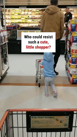 A mini shopping cart full of cuteness! 🥹😍 | WTVideo