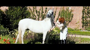 High-Rise - Tráiler Español HD [1080p]