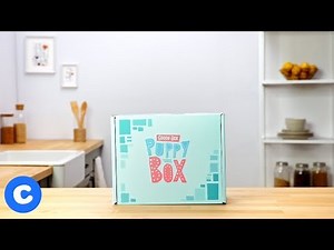 Puppy Goody Box | Chewy