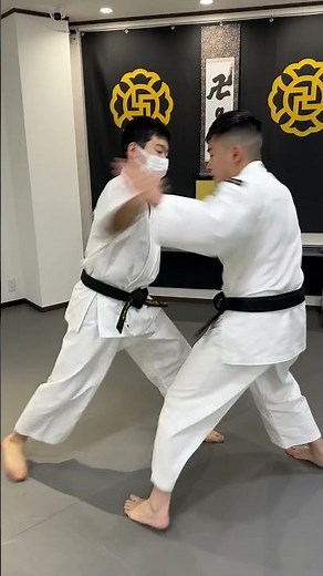 鍛える拳法のススメ / 少林寺拳法