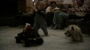 Watch Funniest Pets & People Season 2 Episode 11 - Mishaps!