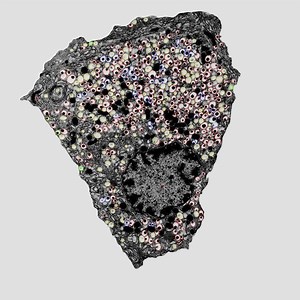 Granule (cell biology) - Alchetron, The Free Social Encyclopedia