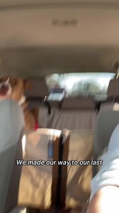 Saige had a great field trip! 🦮🏞️ You can take a dog out, too. Come check em out this weekend. Our field trip program is live! #vbacac #virginiabeach #adoptvb #saige #fieldtrip #supportyourlocalanimalshelter #checkmeout #VA #hamptonroads #adoptdontshop #rescuedogs #adoptersneeded #adopt #redwingpark | Virginia Beach Animal Services