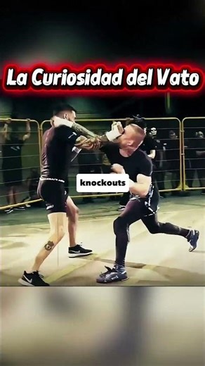 The best knockouts of the day 😎 #shorts