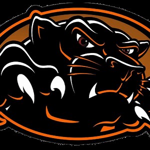 Palmyra Area High School • Home