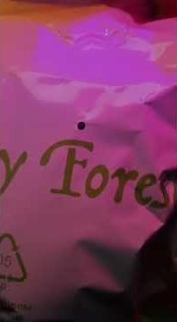 ASMR Furry Forest Blind Box🩷🩷