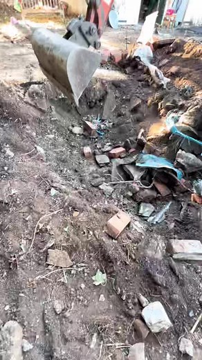 Exploring the Mystery of the Digging Life