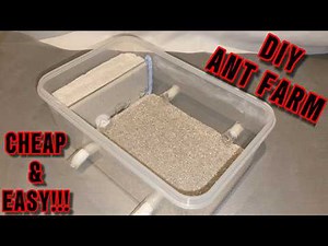 How To Build The Ultimate Ant Farm Setup!!! Step By Step|DIY Ant Farm|Formicarium