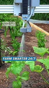 After you cut down the tree, you still have to deal with the stump. This tool effortlessly crushes the tree stump to mush. #engineering | Interesting Engineering