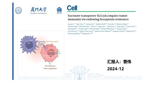 文献汇报-2024.12（曹伟）