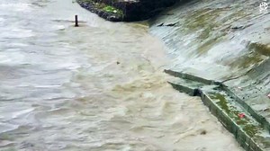 Heroic young man risks his life to save a baby calf