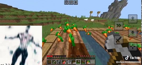 Wally West in Minecraft Memes and Gameplay Clips