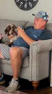 Louis Heads to the Vet #neuter #cockapoo #vet | Ragspartyof5