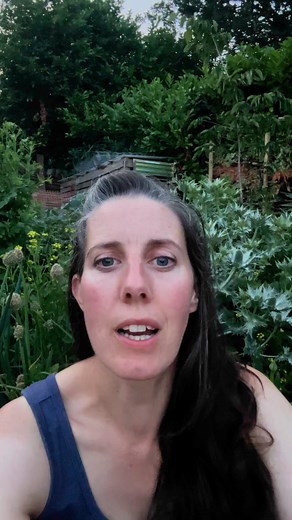 Tour of the permaculture garden at Ecology building society this Sunday 6th July. Tickets from Olive and Green in Silsden or on the door on the day £2.50 #gardentour #permaculturegarden | Pippa Chapman