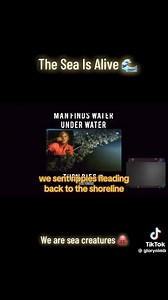 15K reactions · 5.8K shares | #YahkiAwakened dropping some knowledge | Jay Thomas | Facebook