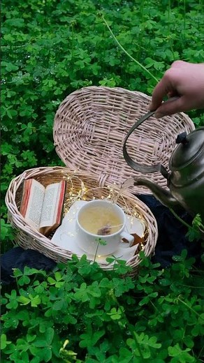 Breathtaking UHD 2K Video Footage at 30fps