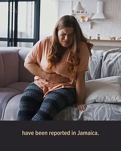 2M views · 13K reactions | How and why do people eat this dangerous fruit? | Origins of Food | Facebook