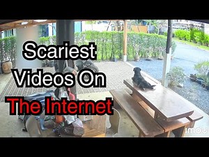 Real Scary Videos That Will Leave You Shocked [Vol. 154]