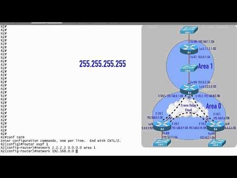 Basic OSPF Configuration Example