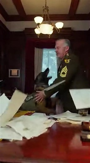 MY K9 WAS DESTROYING TOP-SECRET INTEL SO I THREATENED TO STRIP HIS RANK AND KICK HIM INTO THE BLIZZARD UNTIL HE DRAGGED ME TO THE WINDOW. 'GET DOWN!' I SHOUTED AS HE CLAWED THE GLASS, BUT THEN I SAW THE BLOODY SMUDGE LEFT BY A CHILD'S TINY HAND. I FOUND HIM FREEZING IN THE DRAINPIPE WRAPPED IN THE VERY FLAGS I HAD DECLARED LOST IN BATTLE. The ink on the tactical reports was still damp, the weight of the Northern Command pressing down on my shoulders like a lead shroud. I am General Elias Thorne,