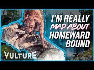 How Did the Cat From Homeward Bound Survive? - Mad About It