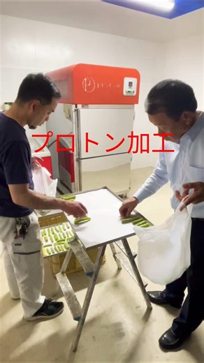 #すがはら農園 ＃農業＃大和高田市＃プロトン加工＃冷凍保存#shortvideo #s #shorts