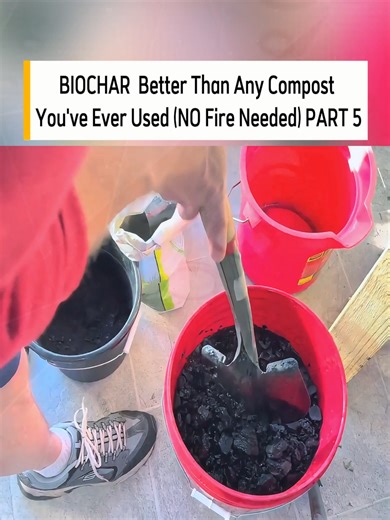 Creating Biochar: An Easy Inoculation Method