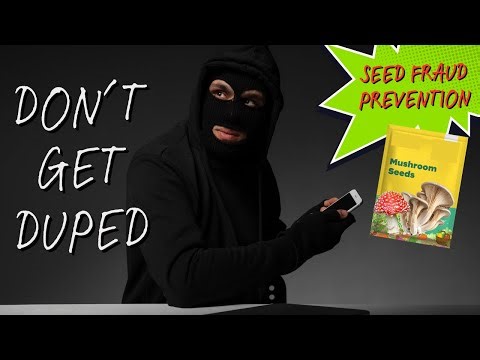 Don’t Get Duped! How to Spot Scam Seeds