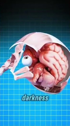 What is the effect of using mobile phone too much at night on the eyes?