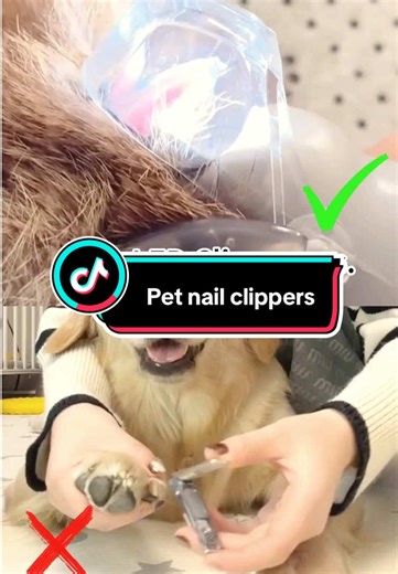 Los mejores cortauñas para perros: ¡pruébalos ya!