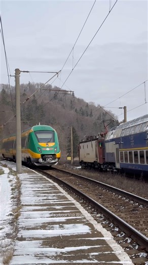 Halta Timișu de Jos! 🇷🇴