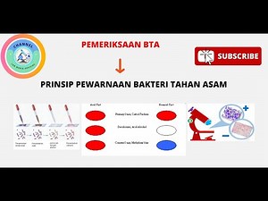 PEWARNAAN BTA (BAKTERI TAHAN ASAM)