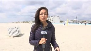 Shark Population Increases Along East Coast