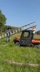 216K views · 3.4K reactions | No need to call the Fire Department…  #AmbersCatMac is safely on the ground. #CatRescue #CatStuckinaTree #AspenTrees #Polydactyl #ExtraToesDidntHelpHere | Amber Marshall | Facebook