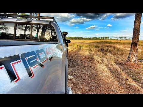 Florida Truck Camping | Ocala National Forest