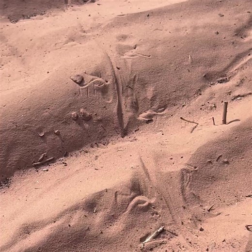 10K views | Discover Moab on Reels | Facebook