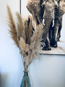 Bouquet grass of the pampas 15 stems 1m - Original bouquet - Natural dried flowers - Natural dried pampas grass
