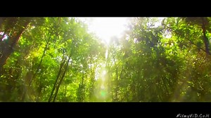 Code Red The Red Trilogy Trailer By Shantanu Dhar (2015)m