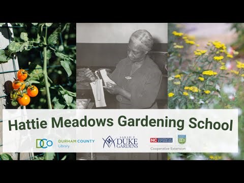 Hattie Meadows Gardening School: Seed Starting