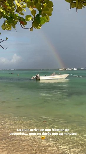 31K views · 454 reactions | Excursions Guadeloupe avec Monique on Reels | Facebook