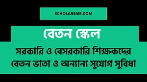 বেতন স্কেল ২০২৫: সরকারি ও বেসরকারি শিক্ষকদের বেতন ভাতা ও অন্যান্য সুযোগ সুবিধা