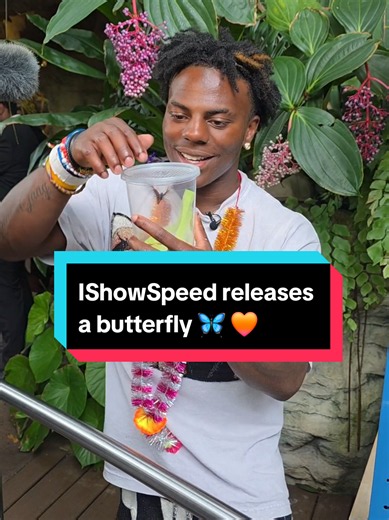When @IShowSpeed released a butterfly in the Cockrell Butterfly Center at the Houston Museum of Natural Science 🦋 Come release a butterfly yourself this weekend and experience the magic 🧡 #ishowspeed #butterflyrelease #thingstodoinhoustontx