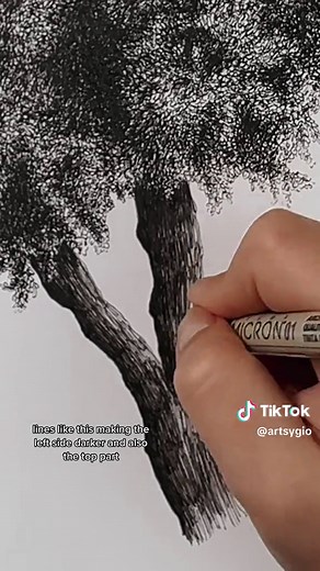 Easy Steps to Draw Realistic Trees | Drawing Tutorial