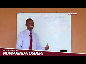 Histology. Episode 7: Bone Tissue (Structure of a Compact Bone)