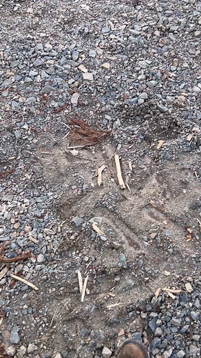 Husqvarna Saw Filing Kit Tutorial for Timber Cutters