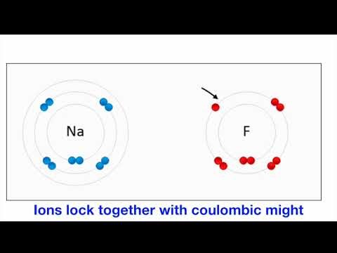 Octet Rule 1080WebShareName