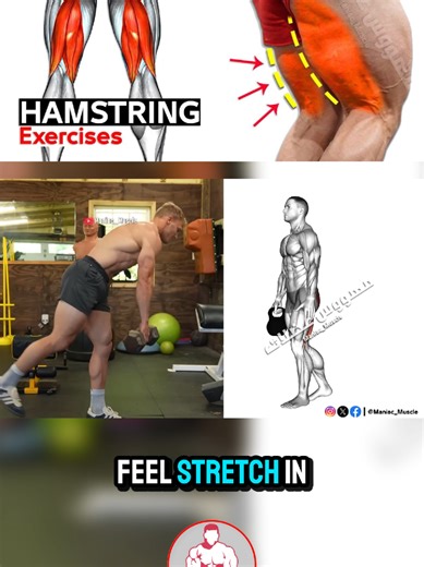 How to big Hamstring | The Best Workouts Ever! #hamstring #hamstringworkout #exercise #workout #gym
