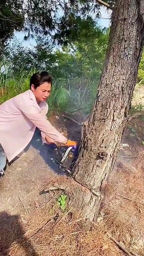 Tree felling#Tools#shorts | Nunung Rudinto