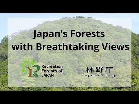 Japan's Forests with Breathtaking Views